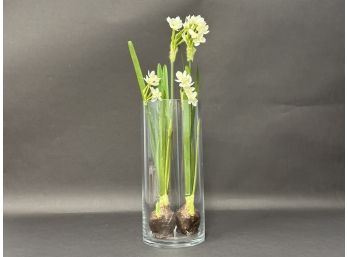 Quality Faux Paperwhites In A Glass Cylinder