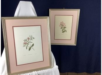 Pair Of Framed Prints Of Flowers