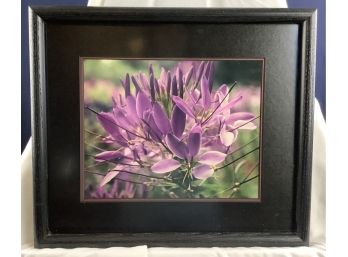 Purple Flower Print In Black Frame
