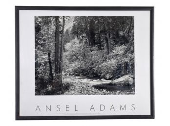 Ansel Adams Tenaya Creek, Dogwood, Rain, Yosemite National Park 1950 Framed Print