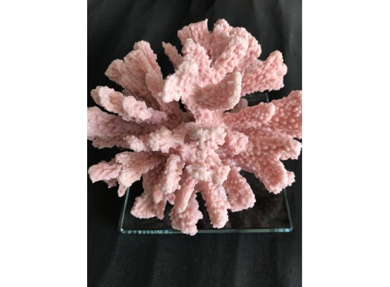 6 Inch, Pink Resin Coral Reef