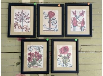 Lot Of Five Matted And Framed Floral Pics With Latin Inscriptions -beautiful Botanicals