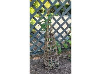 Bamboo Garden Tuteur For Vines Or Plants To Climb