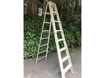 Aluminum Folding Ladder 90'Tall With Paint Shelf