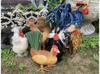 Amazing Rooster Lot