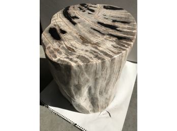 Magnificent Petrified Wood Table, Around 80 LB To 90 LB, 16 1/2 Inch Tall , 13 1/2 Inch Diameter