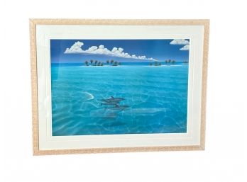Framed Dolphin Photograph