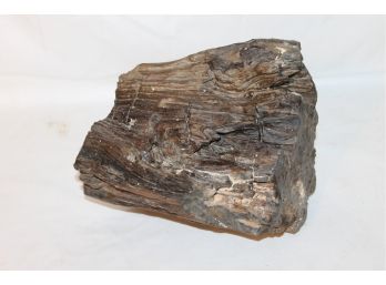 Piece Of Petrified Wood - Super Heavy