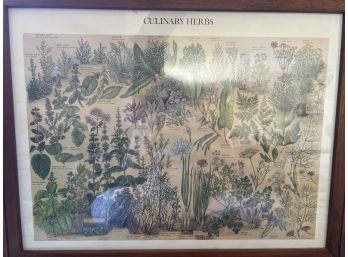 Culinary Herbs-framed Print