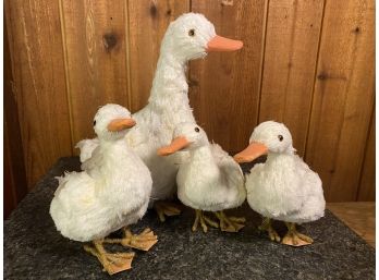 Family Of Feathered Ducks