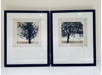 Pair Framed Modern Treescapes