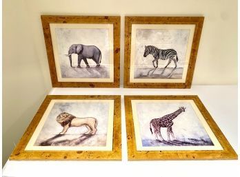 Set 4 Kings Of The Jungle Animal Prints In J. Pocker Burlwood Frames