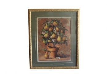 Framed Print Of Pear Topiary