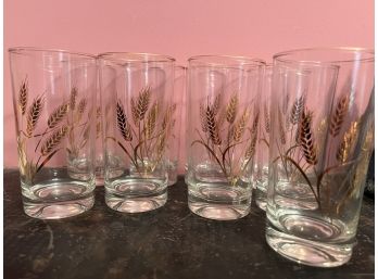 9 Wheat Mid Century Drinking Glasses