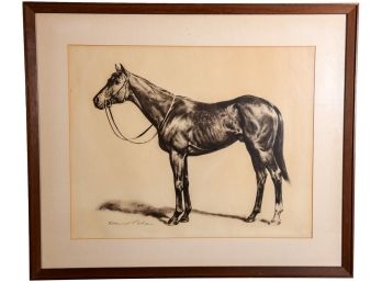 Signed Edward L. Chase Charcoal Drawing Of Count Fleet, American Triple Crown Winner