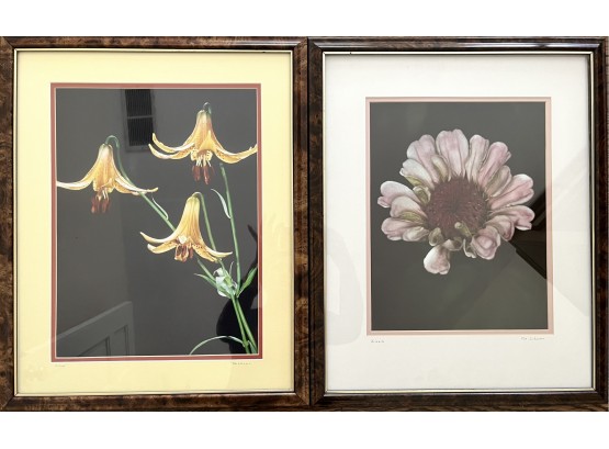 'Zinnia' And 'Lilies' Floral Photogaphs Signed By 'Pat Johnson'