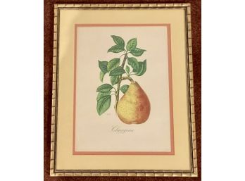 S Z Lucas Framed And Matted Pear Print