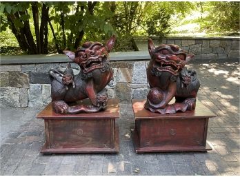 Pair Of Huge Antique Laquered Wood Foo Dogs On Pedestal Box Stands