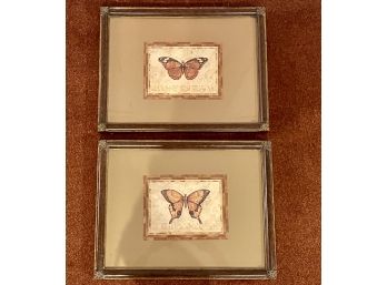 Pair Of Framed Butterfly Prints