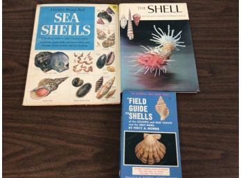 3 Books On Shells