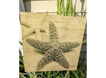 Streched Canvas: Seba's Starfish Art On Canvas