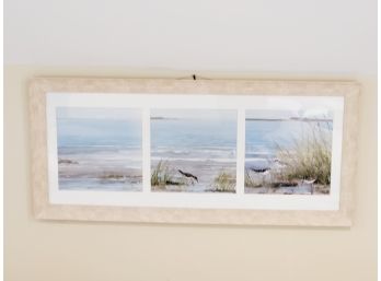 Trio Of Framed Sandpiper Sea Bird Beach Framed Prints