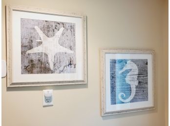 Two Framed Nautical Wall Art Prints - Seahorse & Starfish 23' X 23'