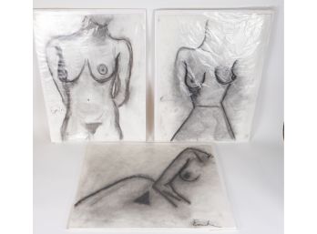 Nude Charcoal Sketches By Emilia