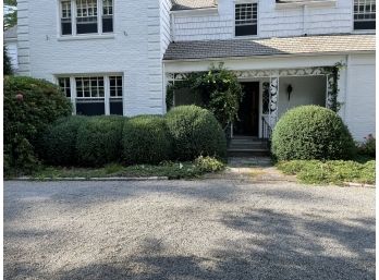 A Group Of 5 Mature Boxwoods In Front Of House