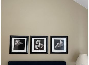 Three Black & White Framed Floral Prints