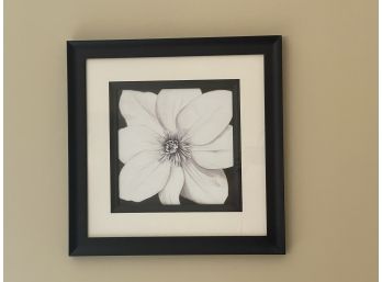 A Framed Black & White Floral Print