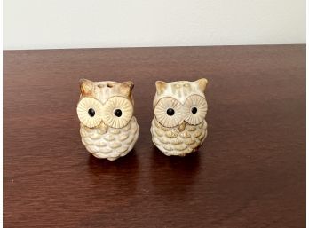 Pair Of Vintage Ceramic Owl Salt & Pepper Shakers