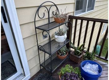Wrought Iron Outdoor Plant Stand(contents Not Included)