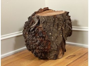 A Great, Warty Chunk Of A Tree Trunk