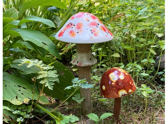 A Fantastic Pair Of Garden Mushrooms