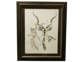 Listed African Artist Clive Walker Hand Signed 1974 Limited Edition Lithograph African Antelope