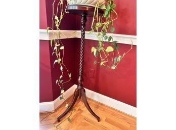 Bombay Wood Plant/Display Stand