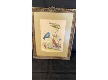 A Vintage Framed Birds Print.