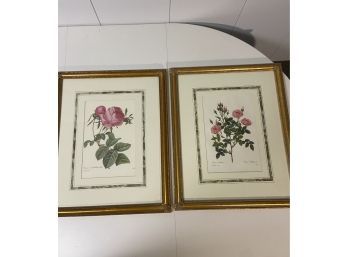 2 Floral Prints, Gold Frame, Pink Roses, Langloir, Victor, 22x18 X1 In