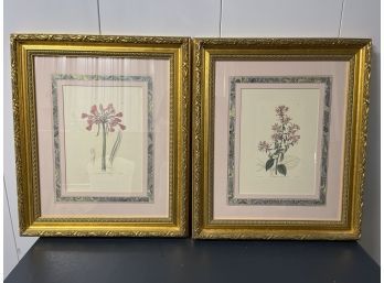 Two Flower Prints By J. Ridgway Framed, Matted And Behind Glass,
