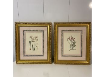 2 Flower Prints , With Detailed Gold Frames, Lillies, 20.5x17.5x1.5