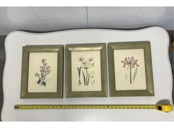 Three Floral Print, Olive Green Wood Trim Glass, 10.25x13.75in.
