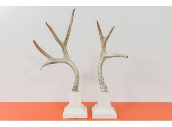 Pair Of Decorative Antlers On White Pedestal Bases