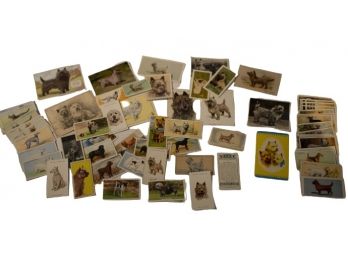 Vintage Dog Cards By, Cadet, Gallaher, John Player & More