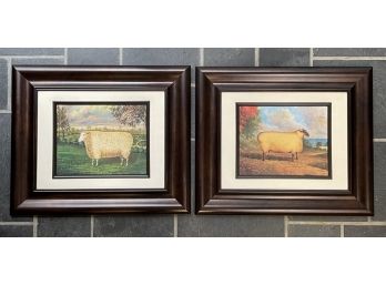 A Pairing Of Vintage Sheep Prints