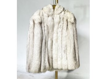 A Mink Coat By Samuel Ringler