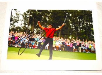 Signed 8 X 10 Of Tiger Woods