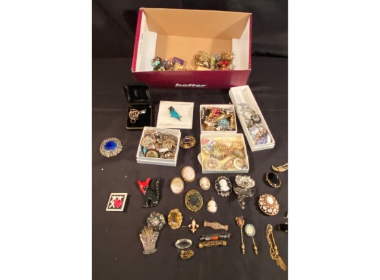 A Large Group Of Pins, Cameo And Broches - Very Nice Assortment.