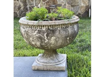 A Beautiful Large Round Concrete Planter, 2 Of 2