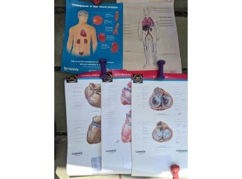 Collection Of 5 Medical Diagram Posters